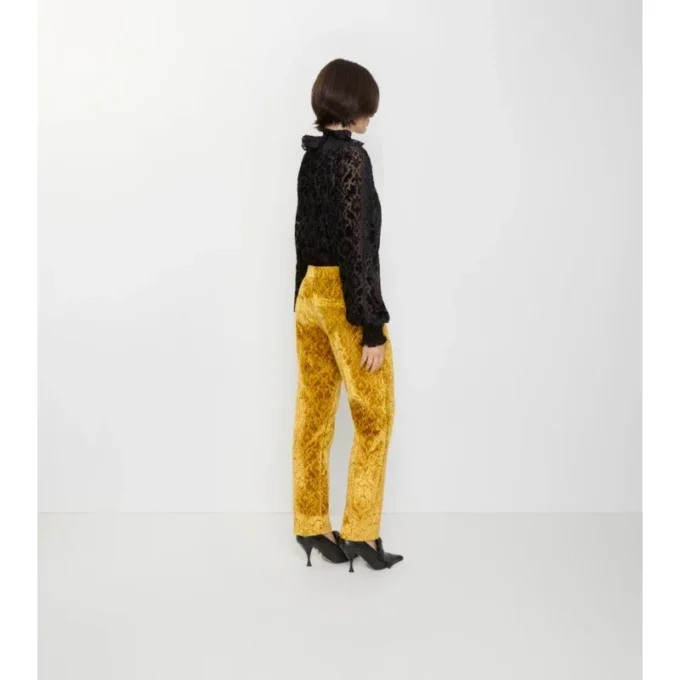 Barock-Samt-Hose