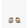 Check-Slides