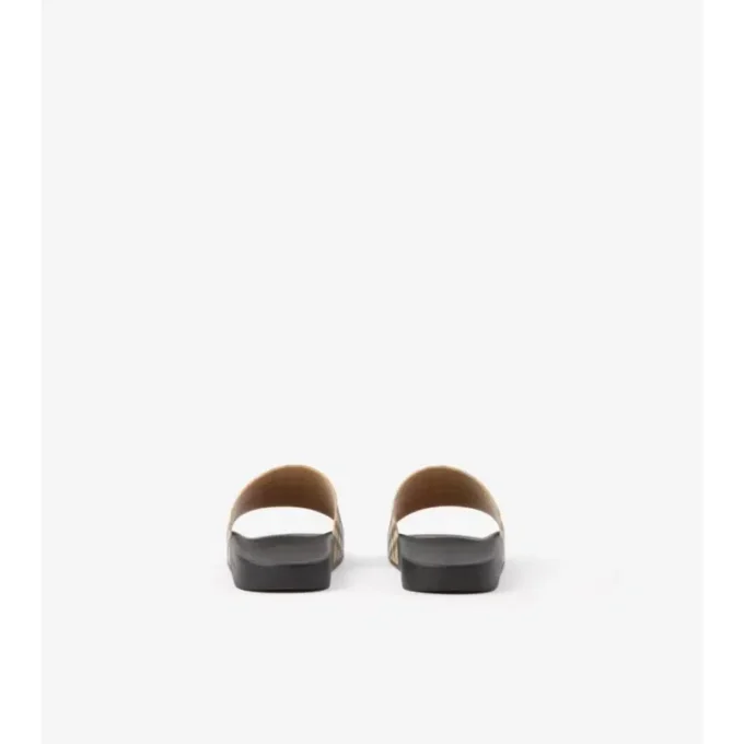 Check-Slides