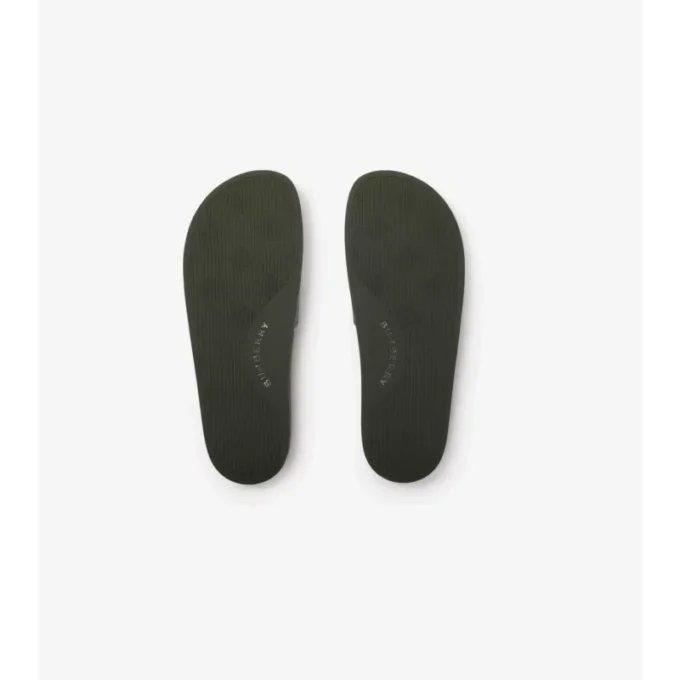 Check-Slides
