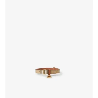 Hundehalsband mit kleinem Karomuster