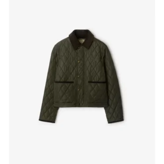 Kurze, gesteppte Nylonjacke