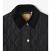 Kurze, gesteppte Nylonjacke