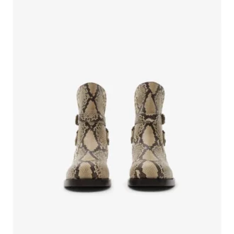 Ledger-Stiefel mit Python-Print
