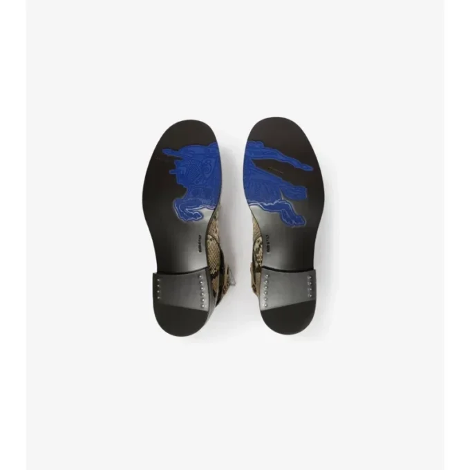 Ledger-Stiefel mit Python-Print