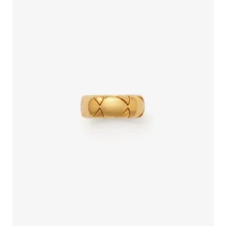 Ring mit Schildsegment