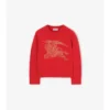Strassbesetzter EKD-Pullover