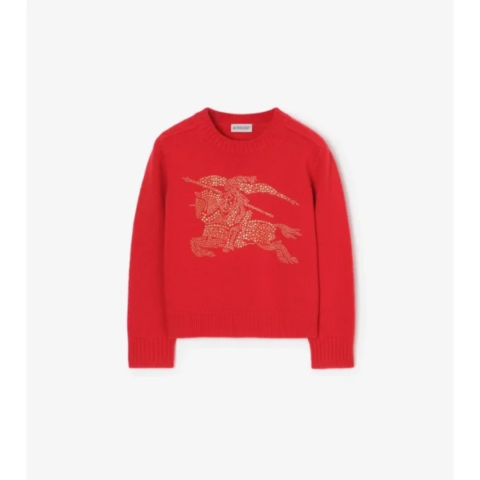Strassbesetzter EKD-Pullover